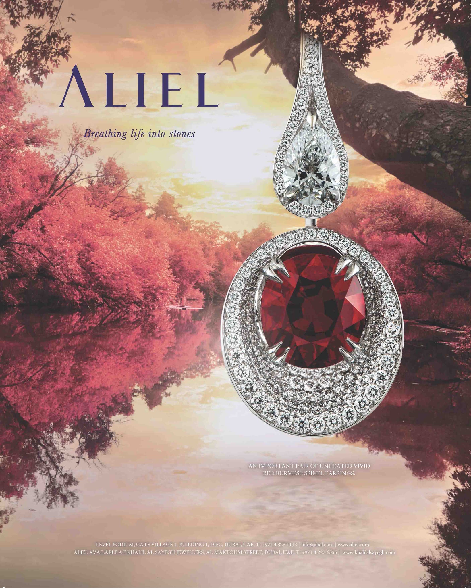 Aliel Poster, Red ruby and white diamond