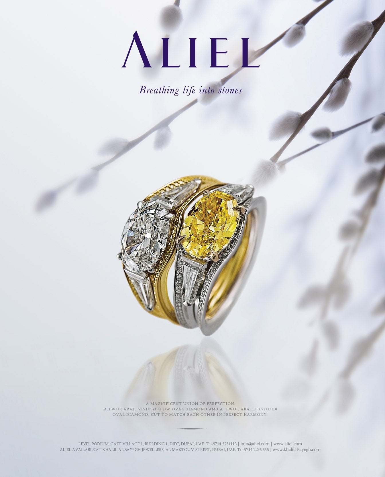 Aliel Poster, yellow and white diamond rings