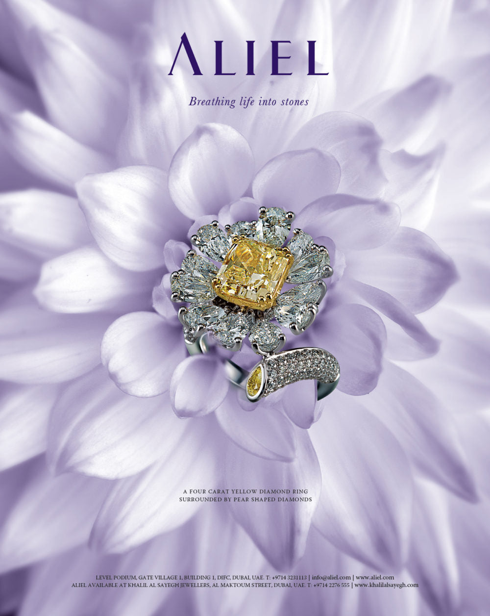 Aliel Poster, Yellow and White Diamond ring