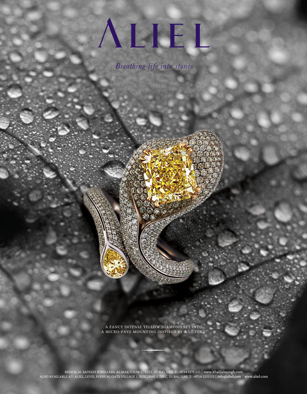 Aliel Poster, yellow and white diamond 